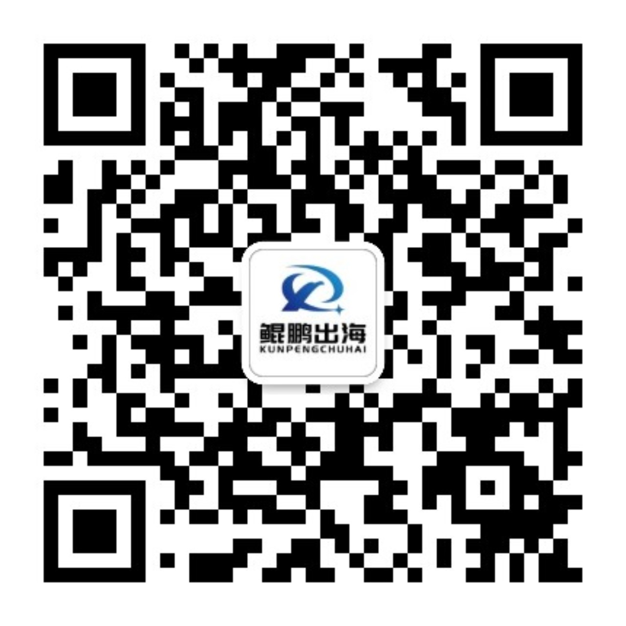 鲲鹏出海，精选优质海外园区地产及优质服务资源，赋能中资企业全球化布局，护航出海高质量发展。