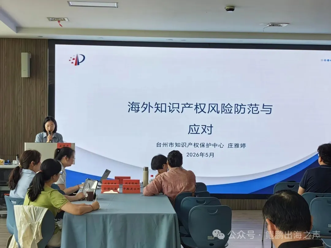 【出海研修班第四课】从知产保护到融资路径